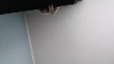 Snapshot of edithmanning chatting on 03-13-26, 05:47 edithmanning online show from 03-13-26, 05:47