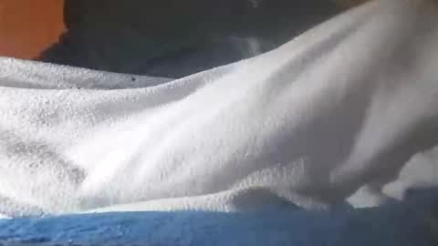 Snapshot of edivad91 chatting on 11-12-25, 06:36 Davide online show from 11-12-25, 06:36