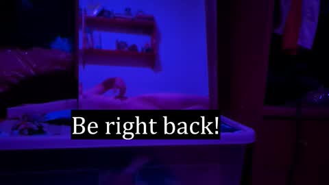 Snapshot of edwarh_01 chatting on 02-07-26, 12:25 Alex online show from 02-07-26, 12:25