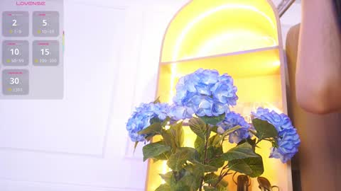 Elasummeer online show from 11-29-25, 11:57