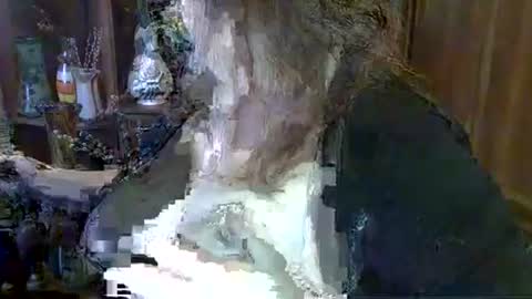 Snapshot of elenazed chatting on 10-06-25, 09:40 ElenaZed online show from 10-06-25, 09:40