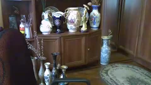 Snapshot of elenazed chatting on 10-13-25, 11:43 ElenaZed online show from 10-13-25, 11:43