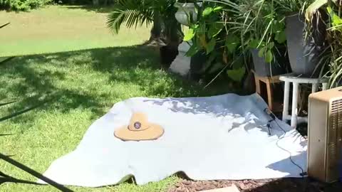 eliberator online show from 09-21-25, 05:03