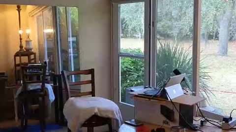 eliberator online show from 01-07-26, 06:43