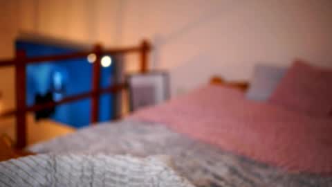 Sunflower  online show from 01-16-26, 03:16