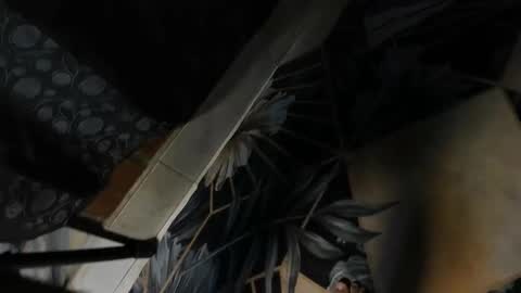 elithcoup_cum online show from 12-07-24, 08:16