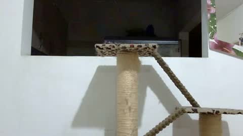 Snapshot of elizabeth_martinez_ chatting on 01-18-25, 02:03 Elizabeth Martinez online show from 01-18-25, 02:03