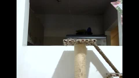 Snapshot of elizabeth_martinez_ chatting on 01-19-25, 08:09 Elizabeth Martinez online show from 01-19-25, 08:09