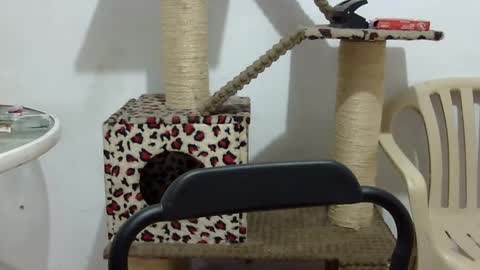 Snapshot of elizabeth_martinez_ chatting on 09-16-25, 02:51 Elizabeth Martinez online show from 09-16-25, 02:51