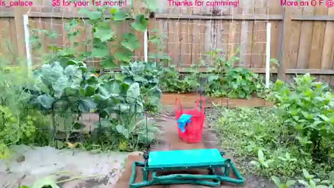 Snapshot of ells_palace chatting on 07-22-26, 01:47 Ella Bella Bo Bella online show from 07-22-26, 01:47