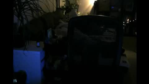 ElMetaTeDa online show from 03-09-26, 02:48