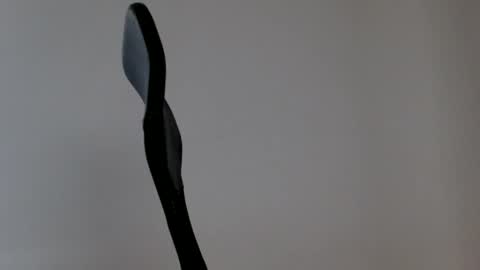 elosocazador online show from 03-05-26, 02:24