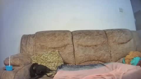 elsie02 online show from 11-18-25, 06:56