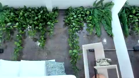 Snapshot of emiily_smile chatting on 07-20-26, 01:24 Emily online show from 07-20-26, 01:24