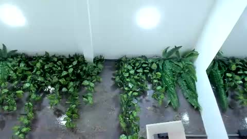 Snapshot of emiily_smile chatting on 07-28-26, 12:48 Emily online show from 07-28-26, 12:48