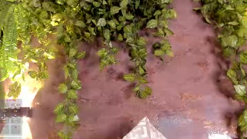 Snapshot of emiily_smile chatting on 07-28-26, 04:27 Emily online show from 07-28-26, 04:27