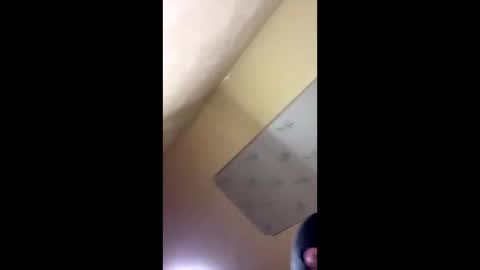 Snapshot of emillycutemurr_ chatting on 10-14-25, 08:20 Emily online show from 10-14-25, 08:20