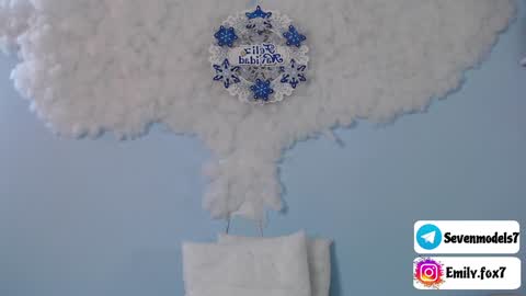 Snapshot of emily_fox7 chatting on 12-28-24, 12:03 emily_fox7 online show from 12-28-24, 12:03