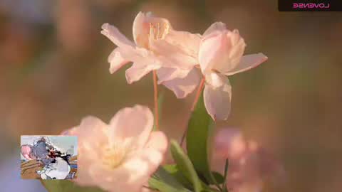 Snapshot of emily_hott1 chatting on 11-20-25, 09:42 emily hoot1 online show from 11-20-25, 09:42