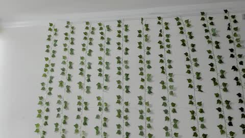 emily online show from 02-05-26, 04:00