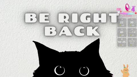   online show from 04-10-26, 11:26