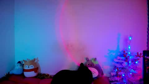 RH-NEGATIVE GREEN-EYED BAELIEN online show from 03-31-26, 08:31