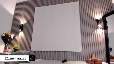 Snapshot of emmazc_ chatting on 10-10-25, 08:19 emmazc_ online show from 10-10-25, 08:19