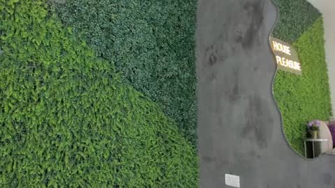 Emmiily online show from 01-31-25, 11:13