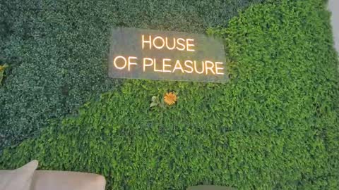 Emmiily online show from 02-22-25, 11:03