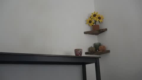 Snapshot of english_rose__ chatting on 10-11-25, 09:41 Rosie online show from 10-11-25, 09:41