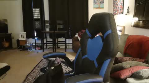 Snapshot of eroticsiren2 chatting on 02-05-25, 09:18 EroticSiren2 online show from 02-05-25, 09:18