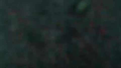 estelarseiya online show from 02-05-25, 07:07