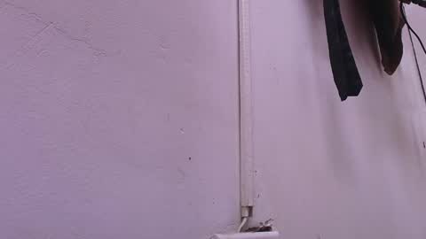 Snapshot of estrella_hanks_ chatting on 02-22-25, 11:57 Estrella online show from 02-22-25, 11:57