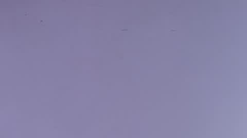 Snapshot of estrella_hanks_ chatting on 10-01-25, 12:00 Estrella online show from 10-01-25, 12:00