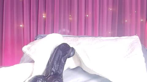 Snapshot of estrella_hanks_ chatting on 02-24-26, 11:52 Estrella online show from 02-24-26, 11:52