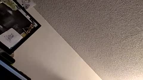 Snapshot of et528007 chatting on 11-07-25, 05:07 et528007 online show from 11-07-25, 05:07