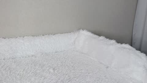 eva varnerr online show from 02-03-25, 01:19