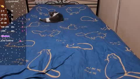 Eva online show from 02-08-26, 02:09