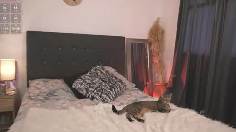 evajacksss_ online show from 02-12-26, 09:21