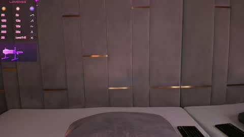 Snapshot of evalims chatting on 01-29-25, 03:58 EVA online show from 01-29-25, 03:58