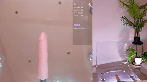 Snapshot of evavsworld_ chatting on 06-05-26, 04:24 online show from 06-05-26, 04:24
