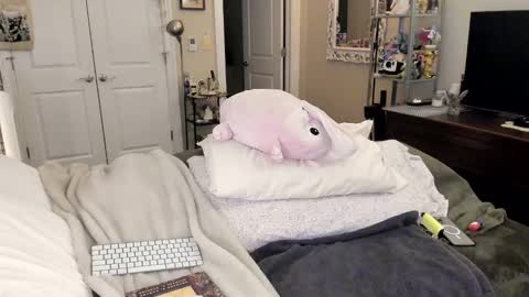 Snapshot of eve003300 chatting on 01-31-25, 02:15 Goddess Eve online show from 01-31-25, 02:15