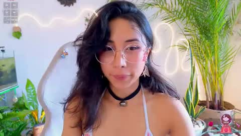 Im Eve or Chelle Next Stream 191224  online show from 03-11-26, 05:19