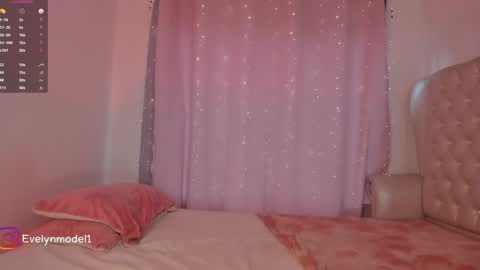 Snapshot of evelyn_evelyn chatting on 12-19-24, 04:46 evelyn evelyn online show from 12-19-24, 04:46