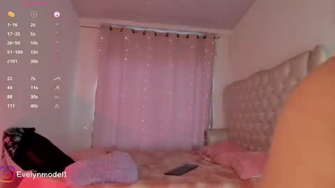 Snapshot of evelyn_evelyn chatting on 10-23-25, 04:06 evelyn evelyn online show from 10-23-25, 04:06