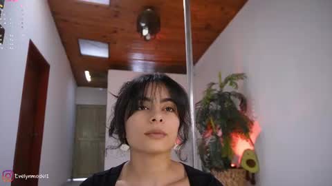 Snapshot of evelyn_evelyn chatting on 06-11-26, 04:16 evelyn evelyn online show from 06-11-26, 04:16