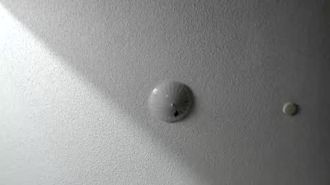 EV Parrish online show from 01-20-25, 06:42