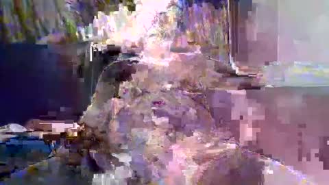 Naaktloper online show from 02-10-26, 04:22