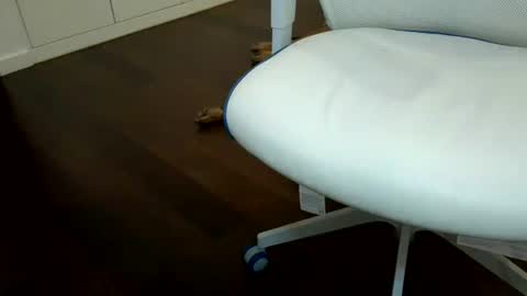 exhibapoil online show from 07-21-26, 06:27