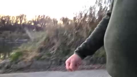 exhibaustin2 online show from 11-12-25, 11:14